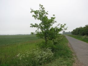 Greenwich Meridian Marker; England; Lincolnshire; Fulstow